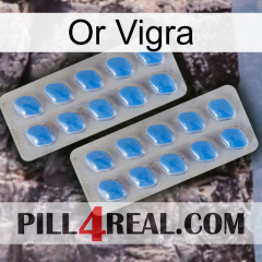 Gold Vigra 23